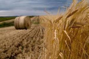 Landmark GM case highlights need for legislation review
